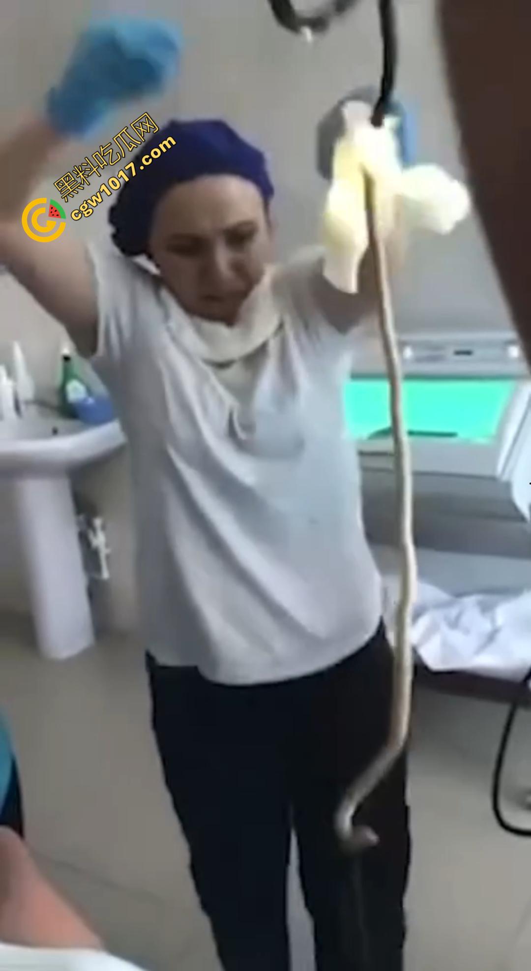 俄罗斯医院活拽1米毒蛇!女患者吞蛇卵孵化钻喉,医生手抖拽出瞬间到处乱窜!