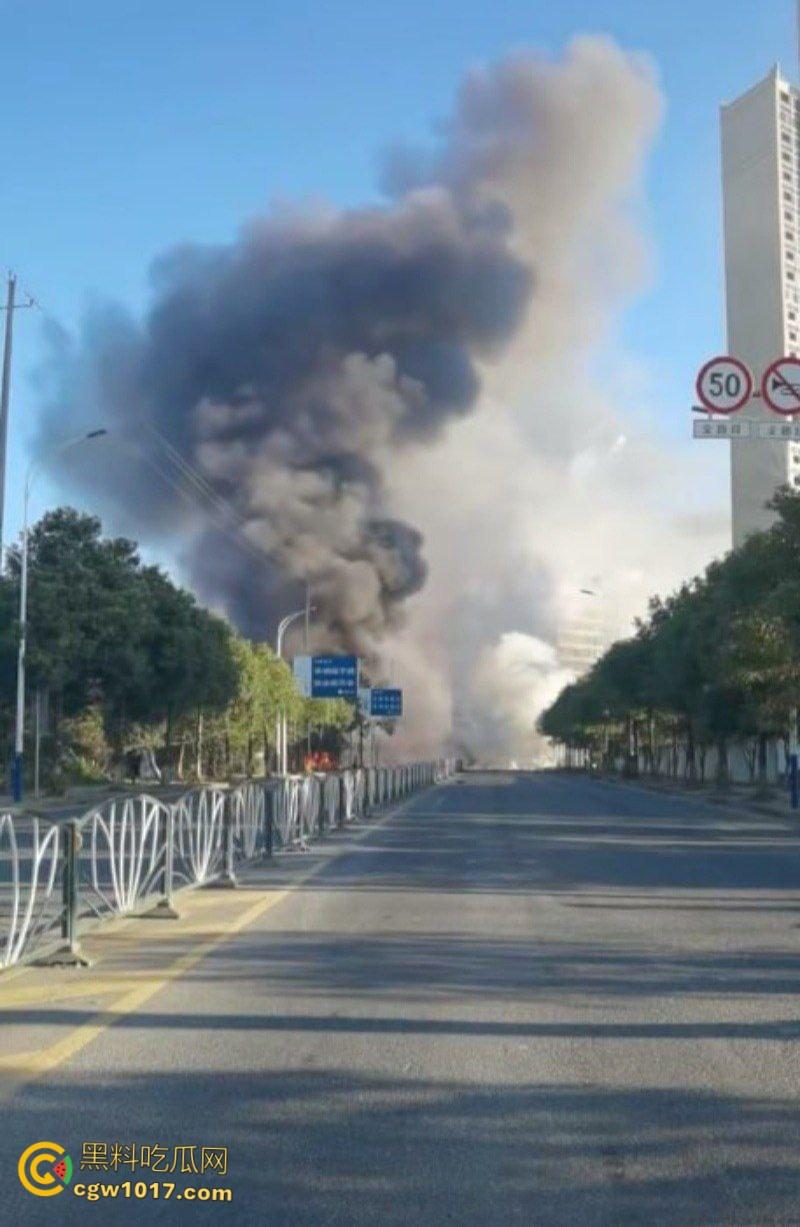 浏阳烟花爆炸事件,勇鑫烟花老板实名举报腐败官员吃分行收贿,被禁卖绝望吃农药,自爆门店轰塌大楼 !