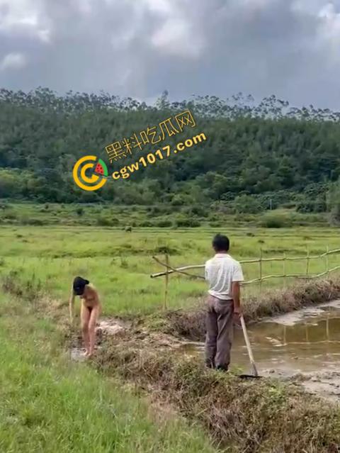 极品尤物CikaiMoon大尺度暴露!穿越稻田,酮体迷人,巨波荡漾,翘臀蹦跳,农民伯伯纷纷回眸,欲火中烧!