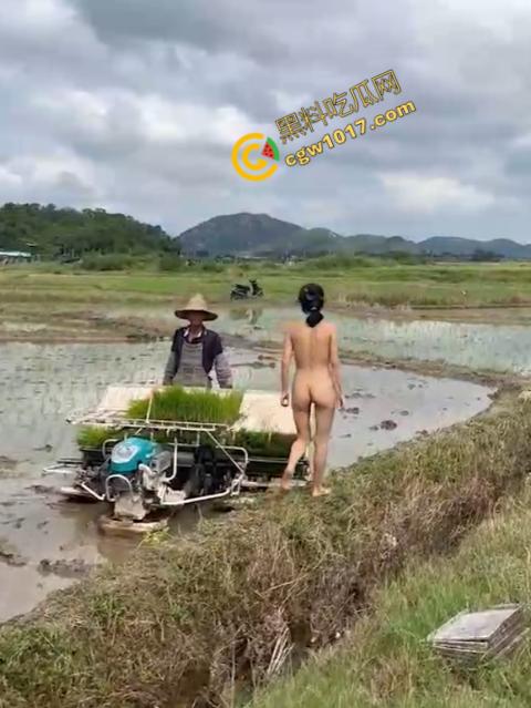 极品尤物CikaiMoon大尺度暴露!穿越稻田,酮体迷人,巨波荡漾,翘臀蹦跳,农民伯伯纷纷回眸,欲火中烧!