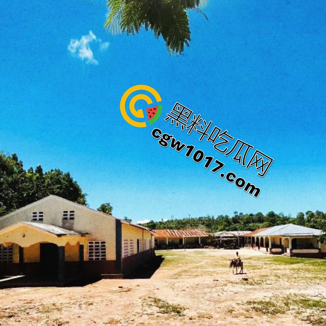 德克萨斯不养闲人 一位消防员 一位空军飞行员两人计划召集一支流浪汉军队，夺取海岸附近的一个岛屿并将所有女性都将成为性奴隶！