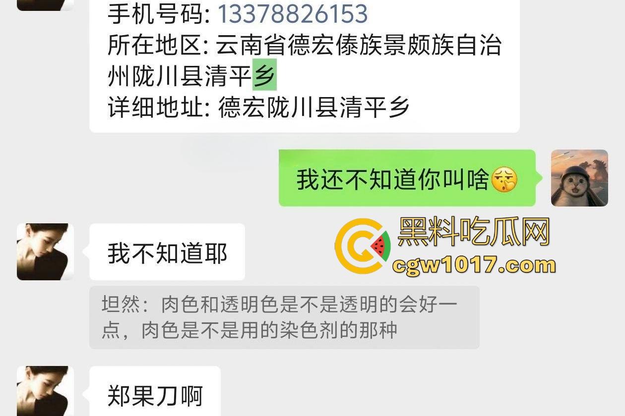 云南德宏巨乳反差婊【郑果刀】网恋骗吃骗喝,奶大B肥男友不在就偷人,自慰棒要买最大号,做爱时奶子甩成冬瓜!