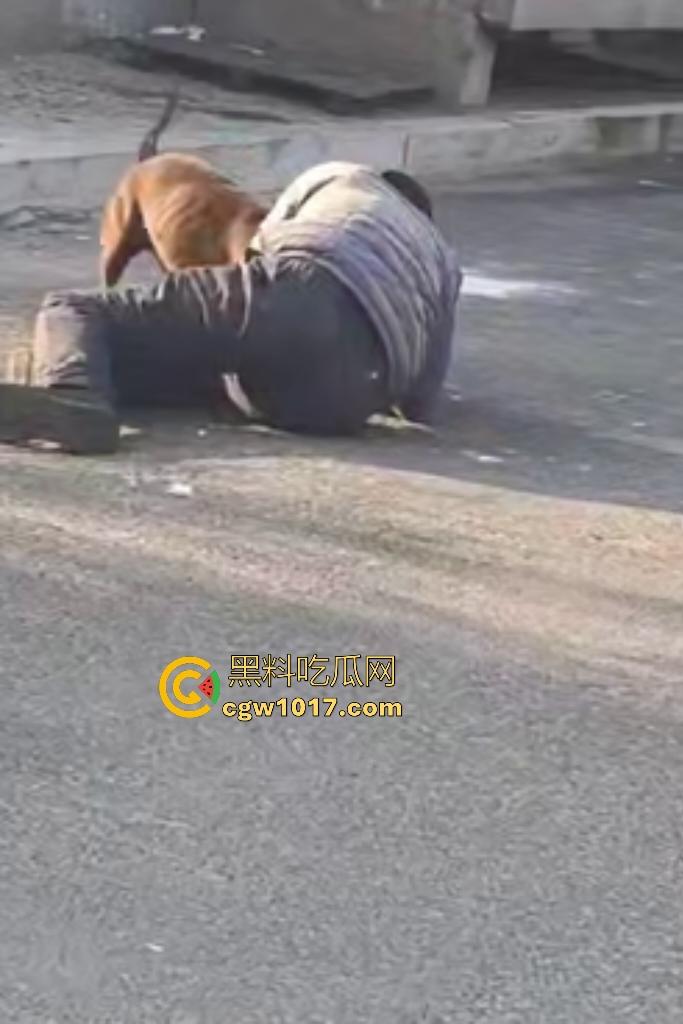 大爷手贱开狗笼被比特犬当场反咬！女主人抱不住狗，大妈大爷拿棍子打像挠痒，比特犬得配上香料才安抚大爷的心！