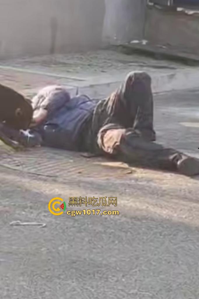 大爷手贱开狗笼被比特犬当场反咬！女主人抱不住狗，大妈大爷拿棍子打像挠痒，比特犬得配上香料才安抚大爷的心！