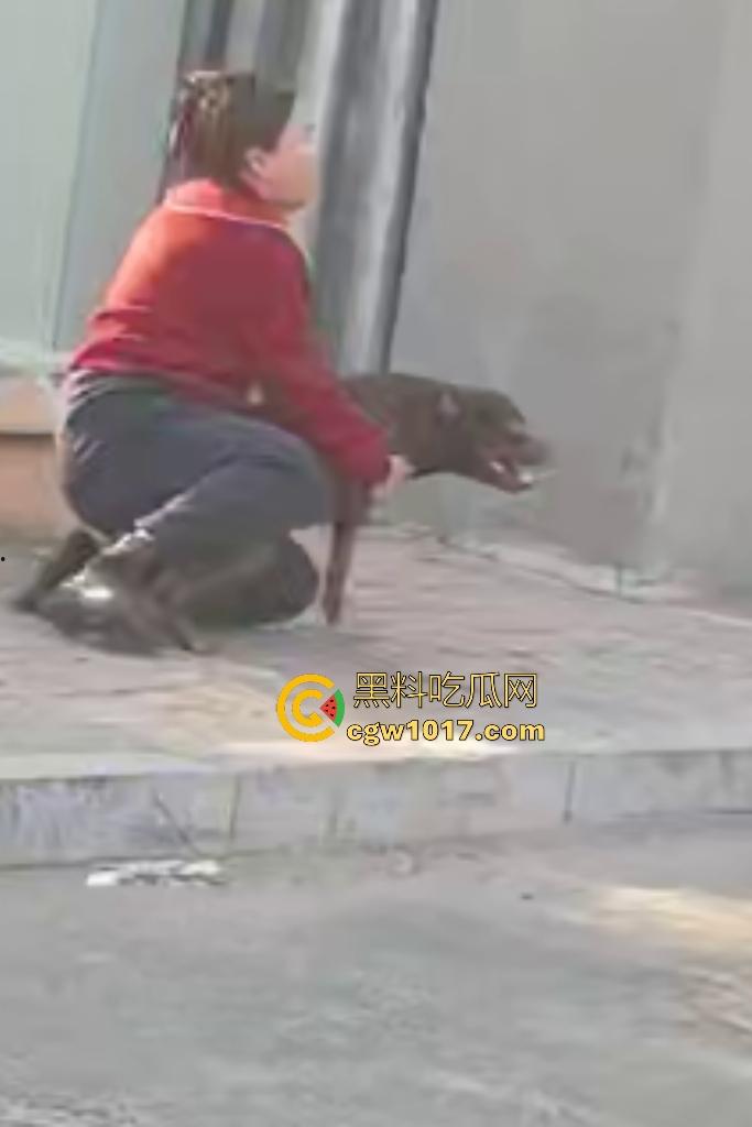大爷手贱开狗笼被比特犬当场反咬！女主人抱不住狗，大妈大爷拿棍子打像挠痒，比特犬得配上香料才安抚大爷的心！