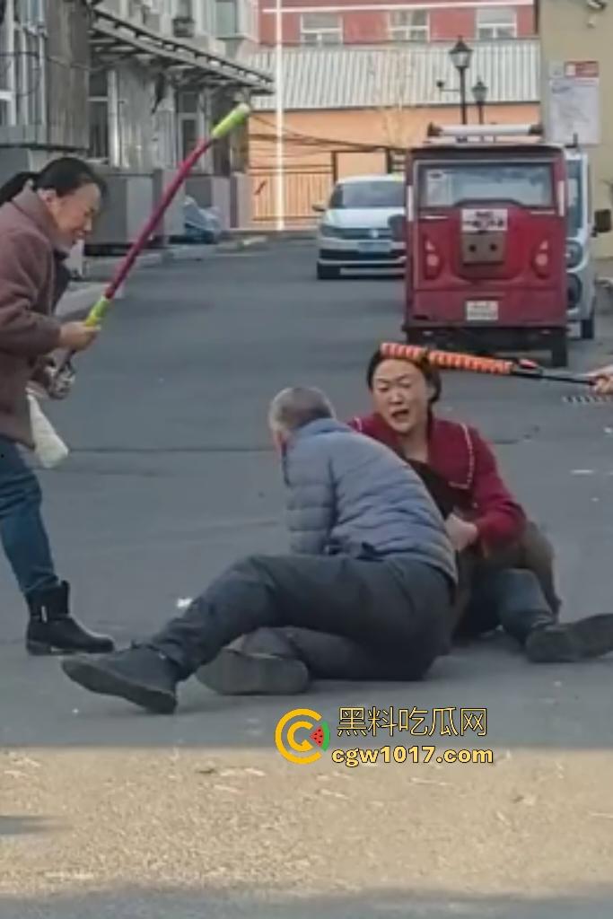 大爷手贱开狗笼被比特犬当场反咬！女主人抱不住狗，大妈大爷拿棍子打像挠痒，比特犬得配上香料才安抚大爷的心！