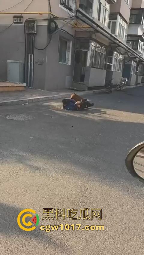 人狗街头大战!比特撕咬绝望老登,撕咬了一会主人拦开,狗子越想越气再次扑咬,不是路上这么多人就合着要这老头呗!