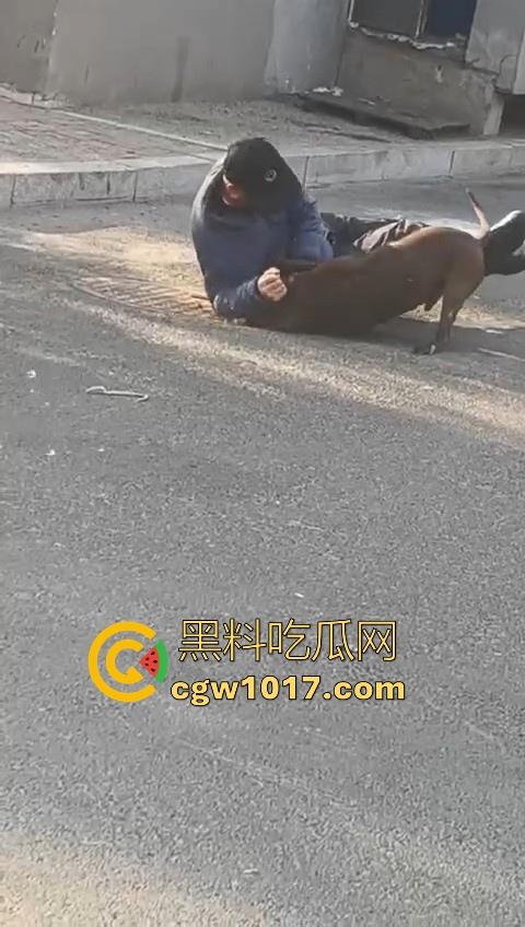 人狗街头大战!比特撕咬绝望老登,撕咬了一会主人拦开,狗子越想越气再次扑咬,不是路上这么多人就合着要这老头呗!