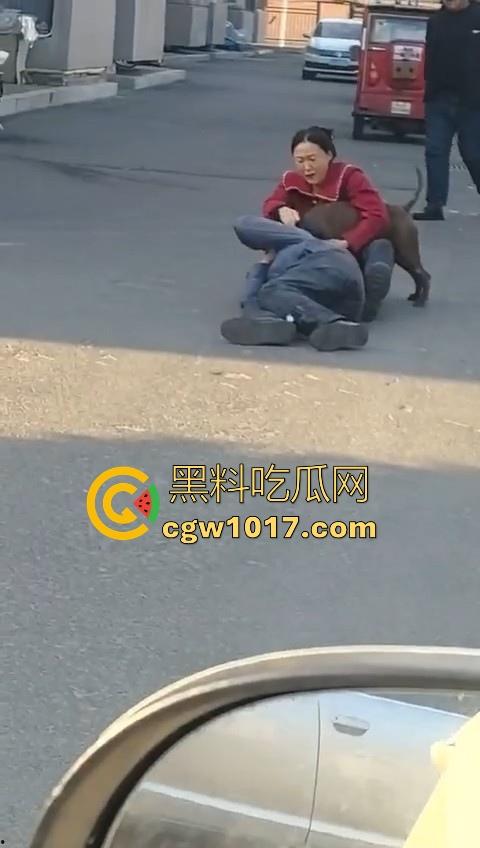 人狗街头大战!比特撕咬绝望老登,撕咬了一会主人拦开,狗子越想越气再次扑咬,不是路上这么多人就合着要这老头呗!