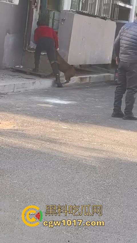 人狗街头大战！比特撕咬绝望老登，撕咬了一会主人拦开，狗子越想越气再次扑咬，不是路上这么多人就合着要这老头呗！