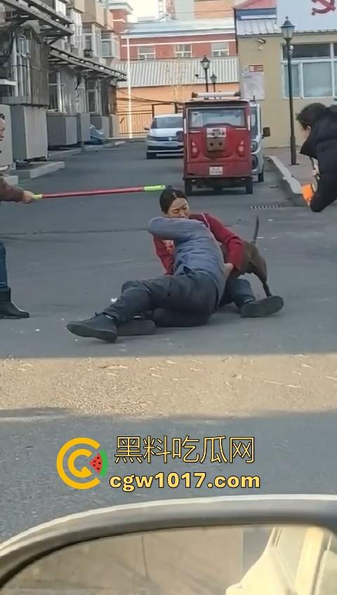 人狗街头大战！比特撕咬绝望老登，撕咬了一会主人拦开，狗子越想越气再次扑咬，不是路上这么多人就合着要这老头呗！