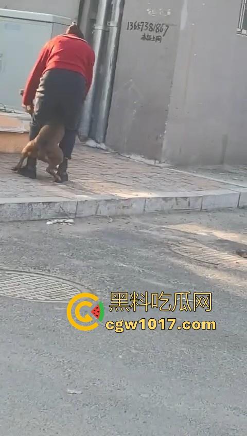 人狗街头大战!比特撕咬绝望老登,撕咬了一会主人拦开,狗子越想越气再次扑咬,不是路上这么多人就合着要这老头呗!