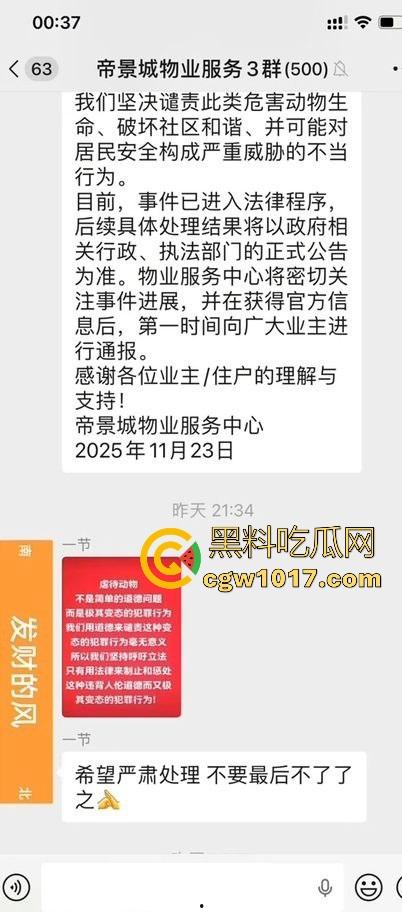 广东揭阳缔景城小区有人虐猫,深夜拿弓箭弓弩射小区小猫咪,在小区乱射箭,如入无人之境,今天敢射猫明天就敢射人!