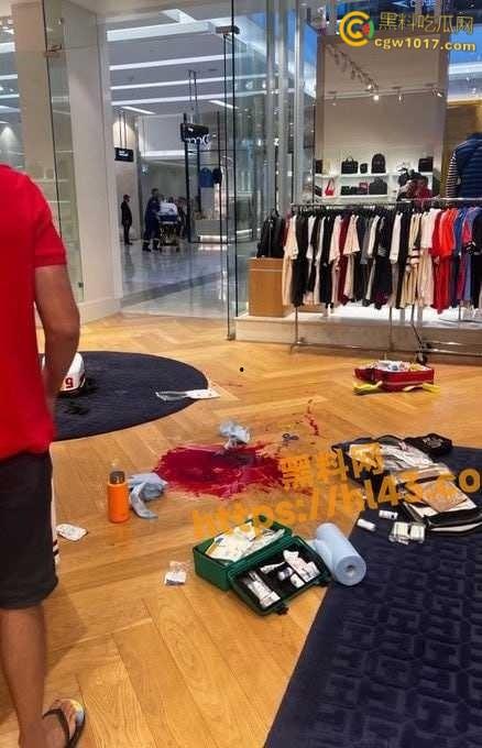 澳大利亚悉尼购物广场，发生无差别持刀砍人事件，网传现场30多人被刺，商场都是尸体多人死亡 ！