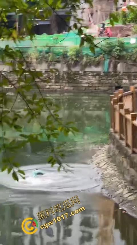 重庆湖边惊魂:绝望女子跳湖,勇敢路人生死救美,惊险拯救,揪心一刻,心跳加速,惊险刺激!