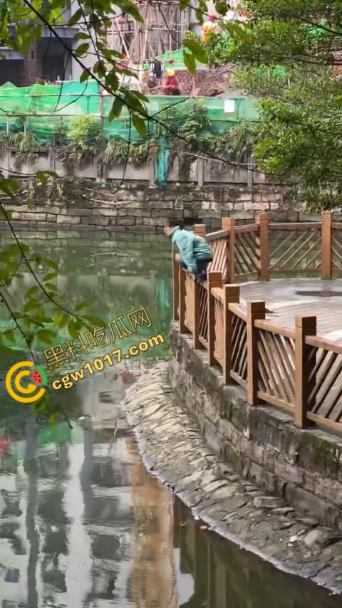 重庆湖边惊魂:绝望女子跳湖,勇敢路人生死救美,惊险拯救,揪心一刻,心跳加速,惊险刺激!