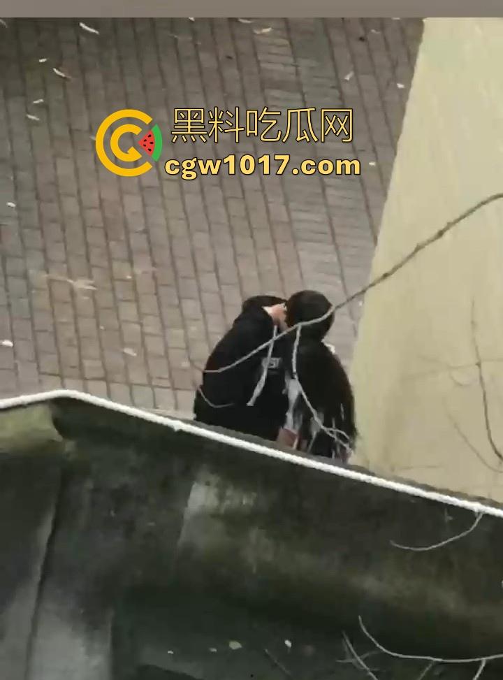 湖南师范大学宿舍角落小情侣偷情,我扣你的逼 你撸我的鸡,激情四射啊!熟悉的角落,熟悉的人,熟悉的动作!