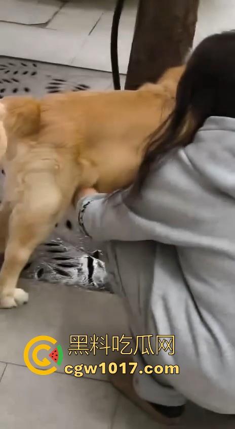 现在的人都这么阴到没边了吗？普通的帮男友打飞机不够刺激，现在流行帮狗打飞机了是吧，每天打几次狗也顶不住！