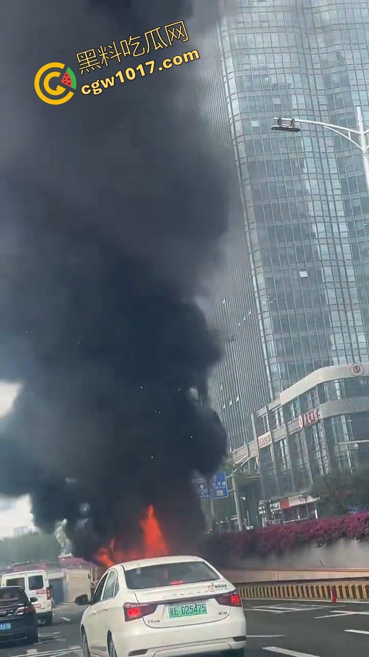 广东佛山季华园隧道口公交车发生自燃，现场浓烟滚滚，火势极其的大，具体自燃原因还待查明！