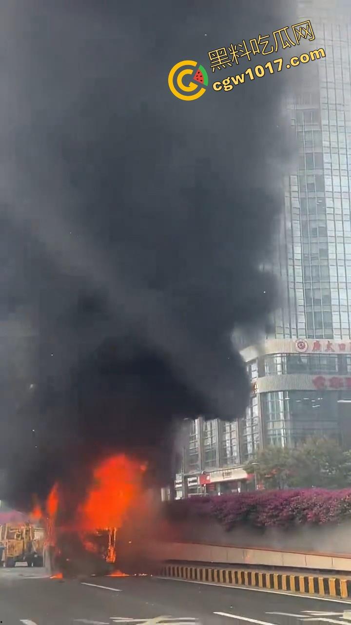 广东佛山季华园隧道口公交车发生自燃，现场浓烟滚滚，火势极其的大，具体自燃原因还待查明！
