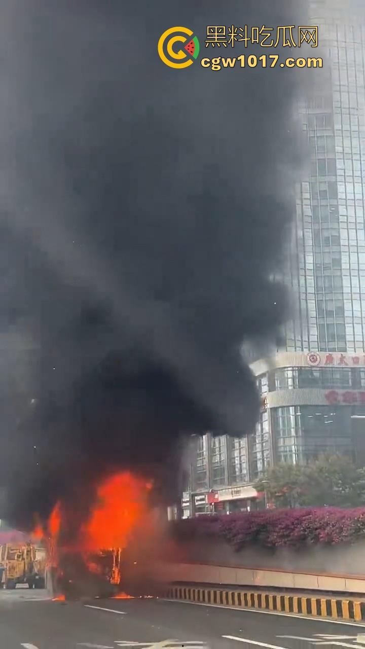 广东佛山季华园隧道口公交车发生自燃，现场浓烟滚滚，火势极其的大，具体自燃原因还待查明！