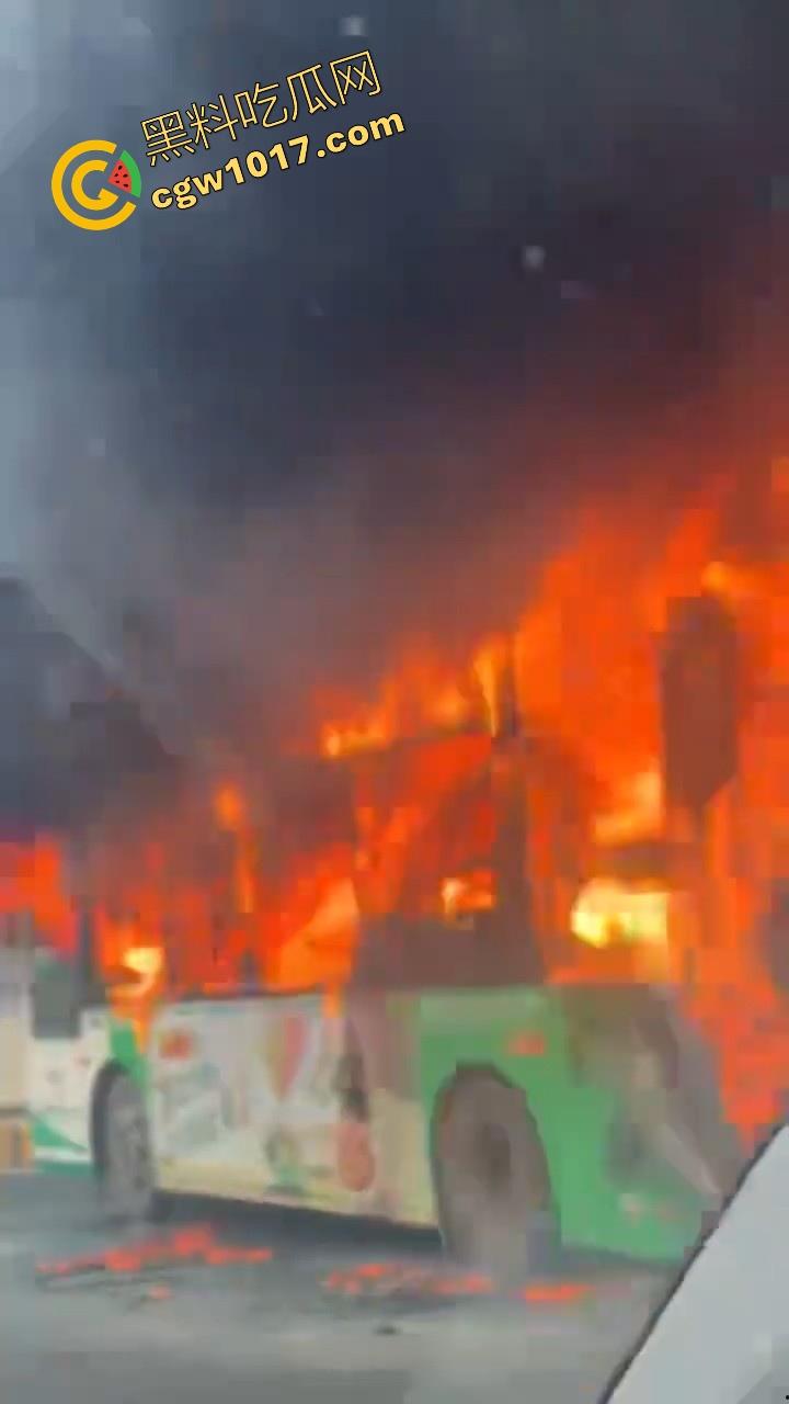 广东佛山季华园隧道口公交车发生自燃，现场浓烟滚滚，火势极其的大，具体自燃原因还待查明！