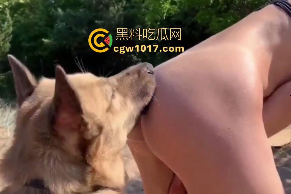 国外美女竟然喜欢和狗杂交!训练大黄狗舌舔骚B,红狗屌后入猛插,射完还要继续舔狗屌,狗子挣脱都怕啦