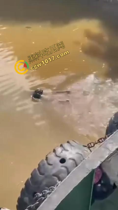 男子野泳惨遭鳄鱼袭击,身体被肆意撕裂,尸体血肉模糊,搜救队惊惧地目睹这惨绝人寰的一幕