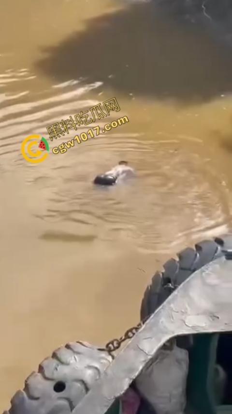 男子野泳惨遭鳄鱼袭击,身体被肆意撕裂,尸体血肉模糊,搜救队惊惧地目睹这惨绝人寰的一幕