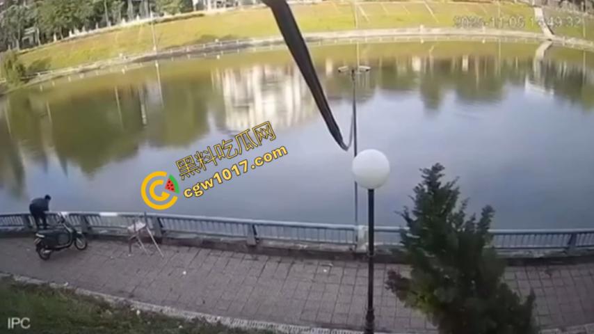 越南13岁男孩持刀暴走:将同学捅伤后推入湖中,辱骂激发致命仇恨,监控全程记录,复仇摄人心魄!