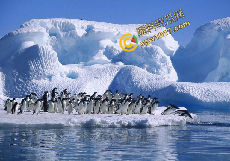 南极科考内部视频劲爆流出：30种未知致命生物！从“死亡之球”到“僵尸蠕虫”，史前病毒横行，足以令人毛骨悚然！