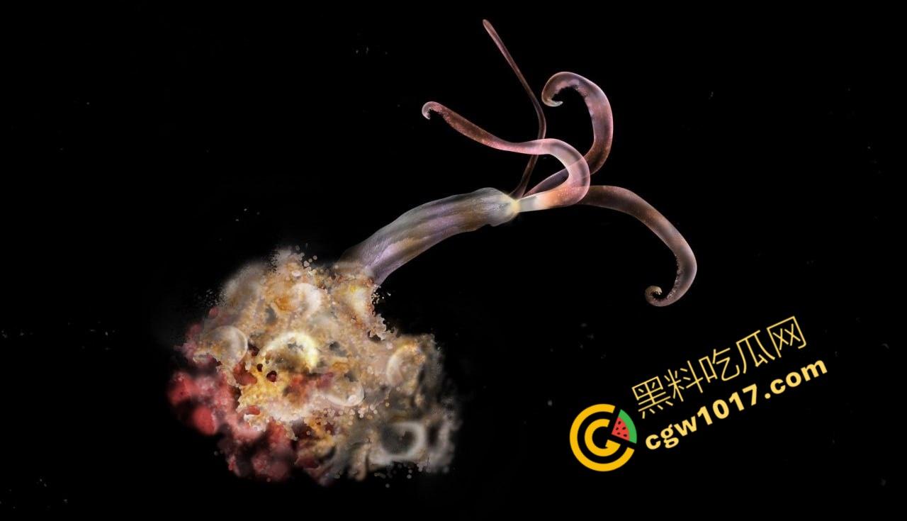 南极科考内部视频劲爆流出：30种未知致命生物！从“死亡之球”到“僵尸蠕虫”，史前病毒横行，足以令人毛骨悚然！