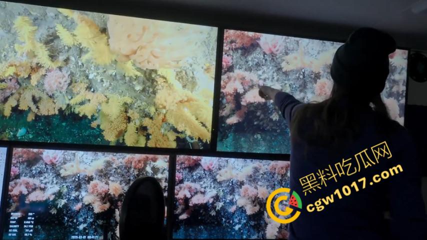 南极科考内部视频劲爆流出：30种未知致命生物！从“死亡之球”到“僵尸蠕虫”，史前病毒横行，足以令人毛骨悚然！