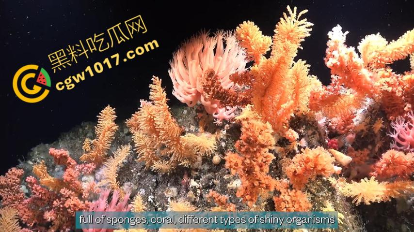 南极科考内部视频劲爆流出：30种未知致命生物！从“死亡之球”到“僵尸蠕虫”，史前病毒横行，足以令人毛骨悚然！