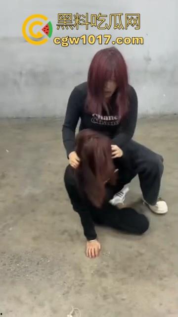 沈阳精神小妹约架群殴,两大帮派集结多人,相互开撕火拼,打得再狠点啊,把逼都扣爆她!