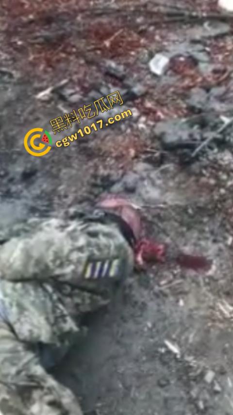 恐怖慎入:战俘被残虐致死内部视频曝光:耳朵,阴茎被残忍收割,现场画面血腥暴力,胆小这勿入!