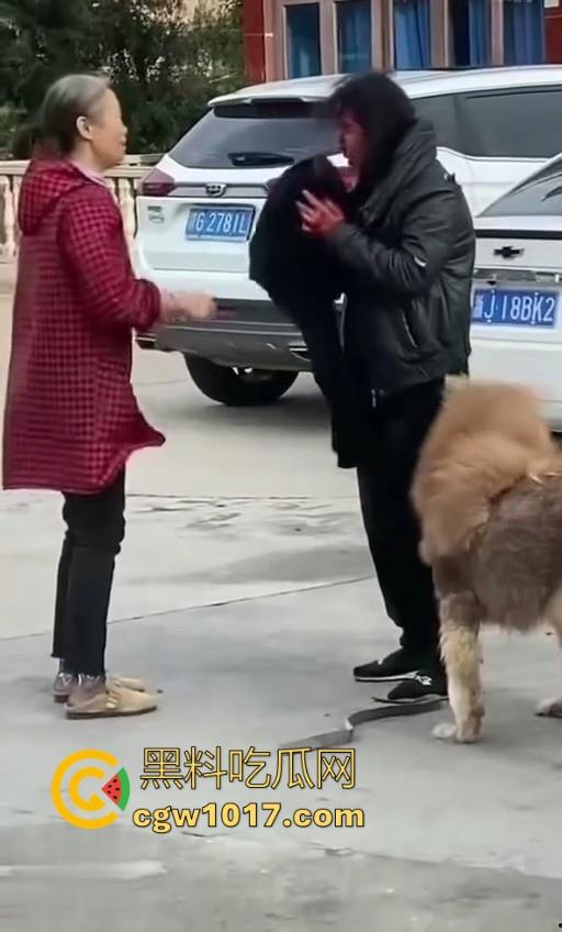 七年老狗反咬主人,不是虐待就突然发疯,满脸都是血,大型狗真恐怖,随后安排处死,这时候爱狗人士怎么不说话了!