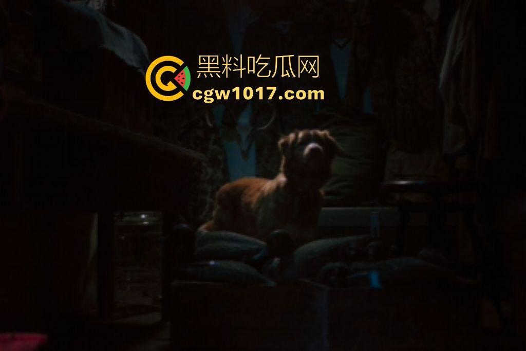 电影【好狗狗】,乡下老宅鬼影幢幢印第狂吠撕咬恶灵,邻居猎人装妖魔潜伏,忠犬搏命救主,真是条好狗狗!