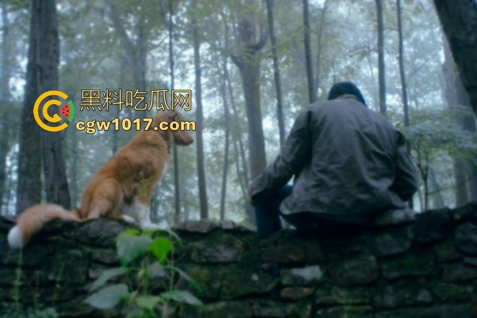 电影【好狗狗】,乡下老宅鬼影幢幢印第狂吠撕咬恶灵,邻居猎人装妖魔潜伏,忠犬搏命救主,真是条好狗狗!