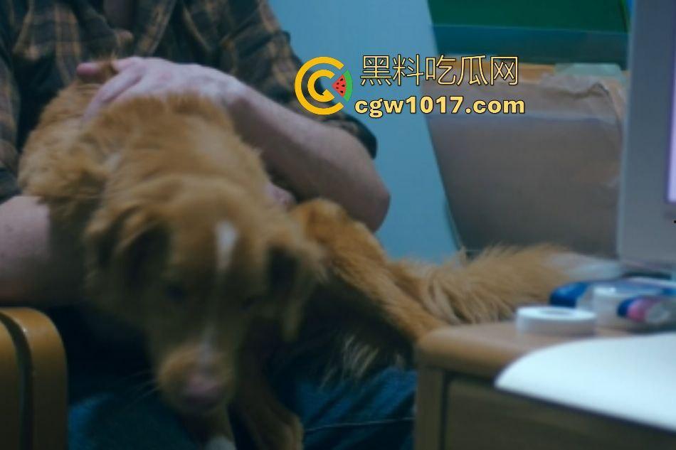 电影【好狗狗】,乡下老宅鬼影幢幢印第狂吠撕咬恶灵,邻居猎人装妖魔潜伏,忠犬搏命救主,真是条好狗狗!