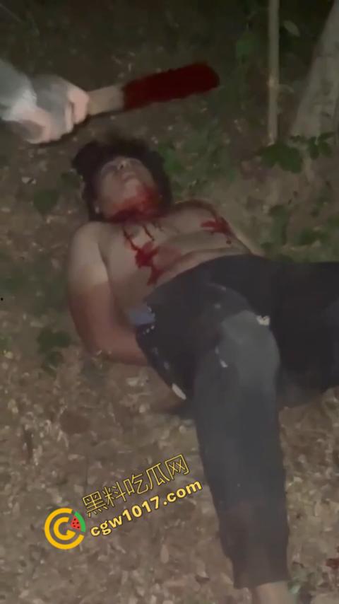 惊悚巴西雨林:鲜血四溅,砍喉视频引发恐慌,暴力画面惊骇世人,血腥场面令人喘不过气!