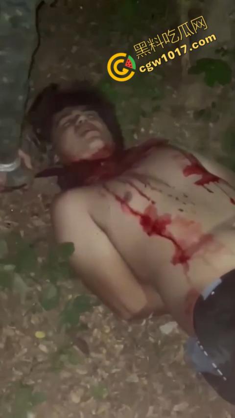 惊悚巴西雨林:鲜血四溅,砍喉视频引发恐慌,暴力画面惊骇世人,血腥场面令人喘不过气!