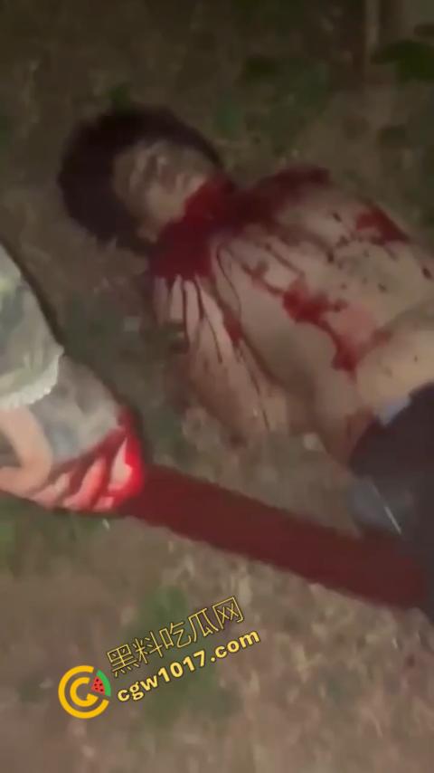 惊悚巴西雨林:鲜血四溅,砍喉视频引发恐慌,暴力画面惊骇世人,血腥场面令人喘不过气!