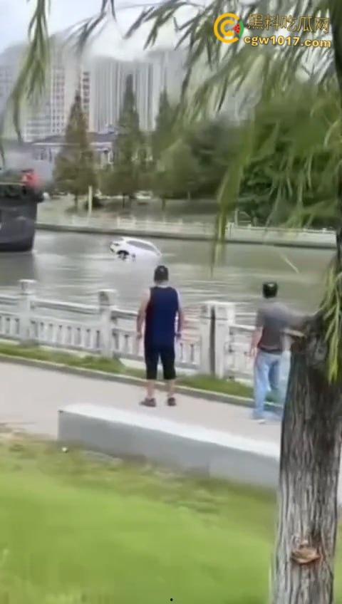 丹阳女司机油门当刹车,车子冲破栏杆栽进九曲河,幸好车窗围观女司机命大脱险,惊魂未定一出湿身戏!