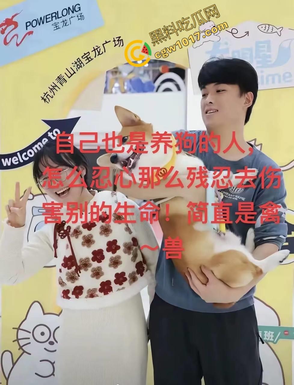 浙江狂暴男子街头暴力虐狗事件火遍全网:血腥场面令人震撼,马犬惨叫声震撼人心,引发全民怒吼!