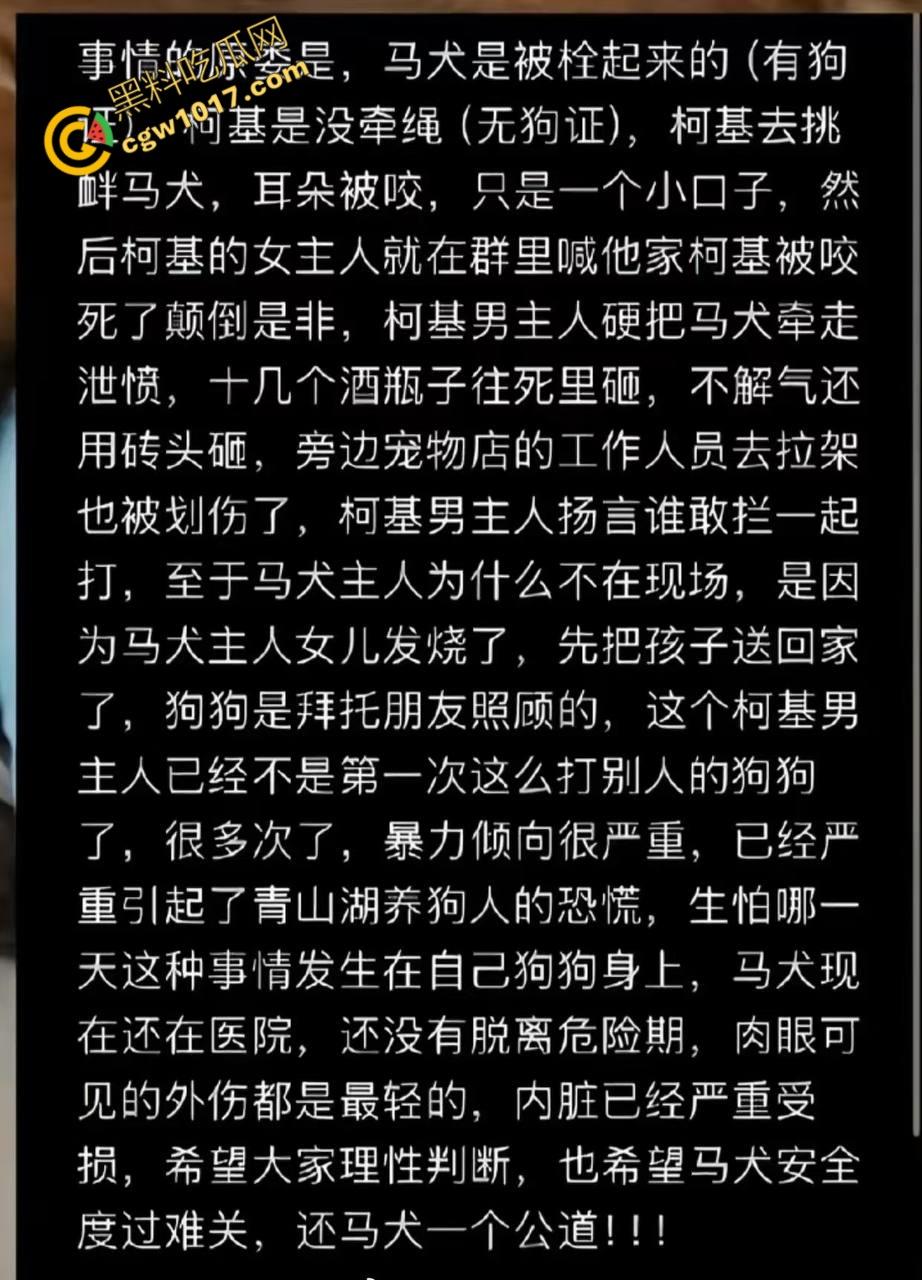 浙江狂暴男子街头暴力虐狗事件火遍全网:血腥场面令人震撼,马犬惨叫声震撼人心,引发全民怒吼!