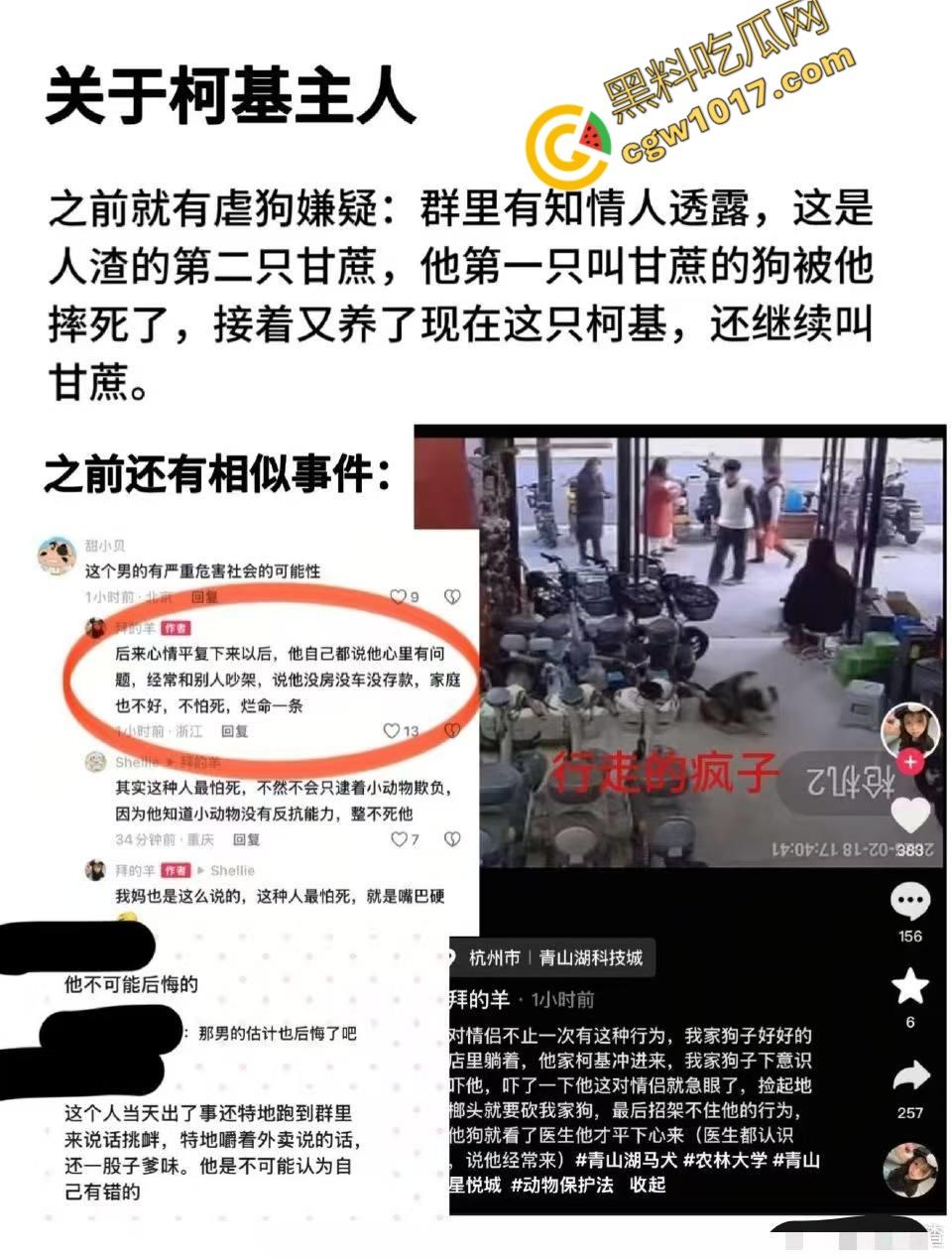 浙江狂暴男子街头暴力虐狗事件火遍全网:血腥场面令人震撼,马犬惨叫声震撼人心,引发全民怒吼!