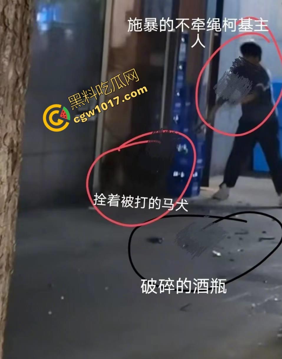 浙江狂暴男子街头暴力虐狗事件火遍全网:血腥场面令人震撼,马犬惨叫声震撼人心,引发全民怒吼!