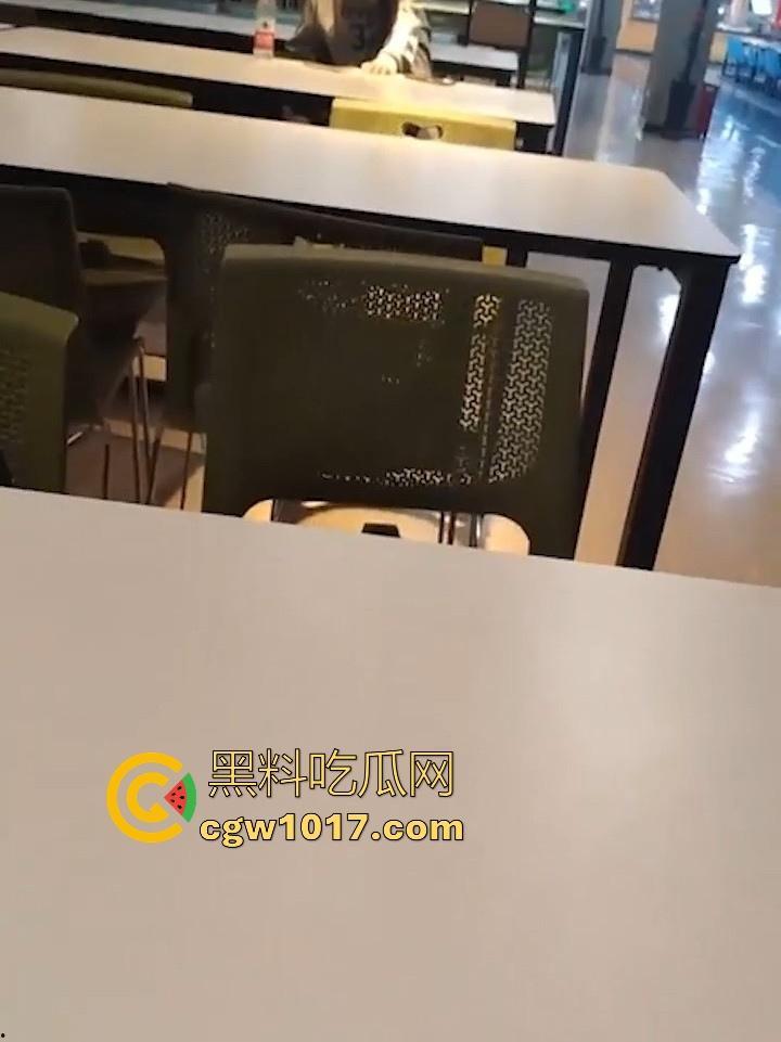 餐厅内情侣大胆玩抠逼,妹子表情扭曲高潮,全自动骑乘榨精,从娇羞到高潮喷潮,合着我们都是你们pay中的一环呗!