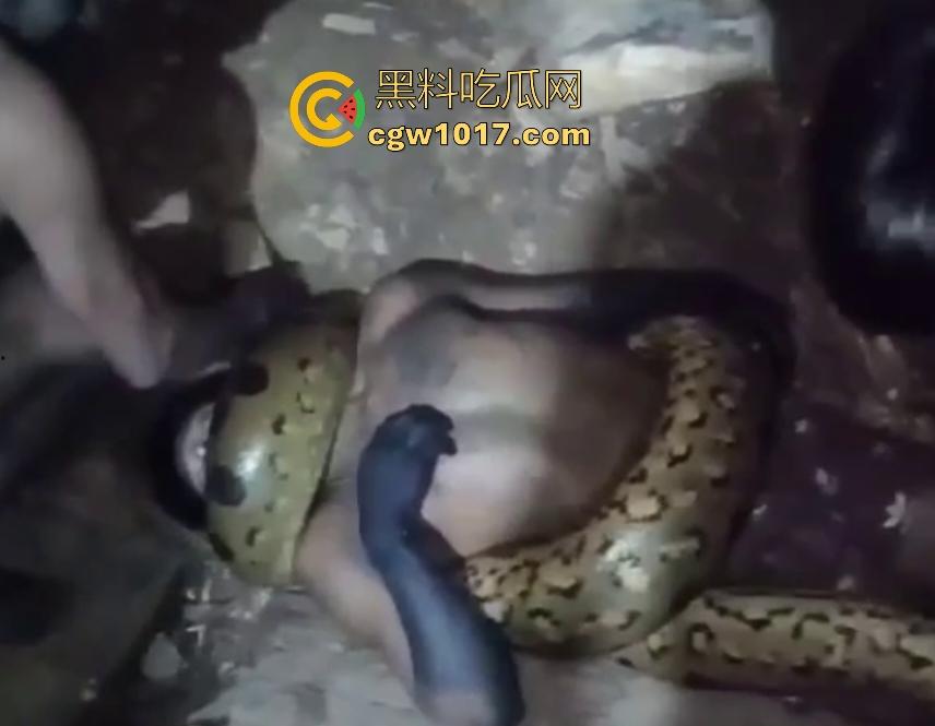 印度醉汉被巨蟒缠绕绞杀,骨骼咔咔断裂脸黑如炭,俩亲兄弟把蟒蛇抬走说喝点恒河水能活,这都黑了还能救?